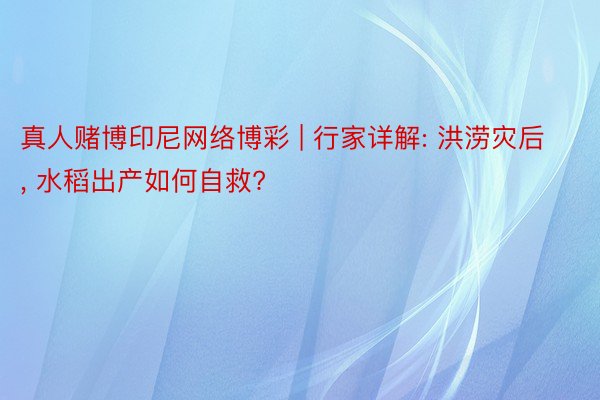 真人赌博印尼网络博彩 | 行家详解: 洪涝灾后， 水稻出产如何自救?